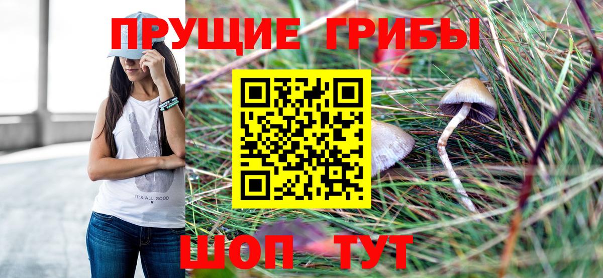 Псилоцибиновые грибы Magic Shrooms Будённовск