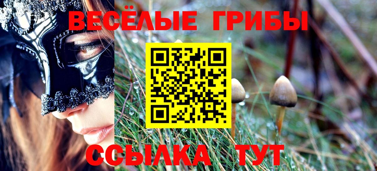 продажа наркотиков  Галлюциногенные грибы MAGIC MUSHROOMS  Вход с VPN  Будённовск 